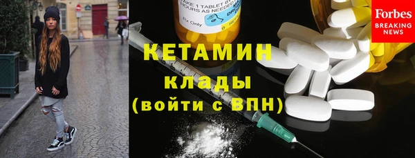 шишки Бородино