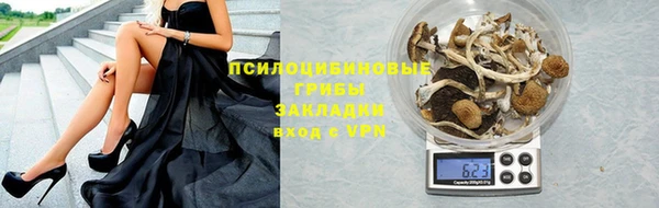 шишки Бородино