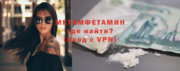 шишки Бородино